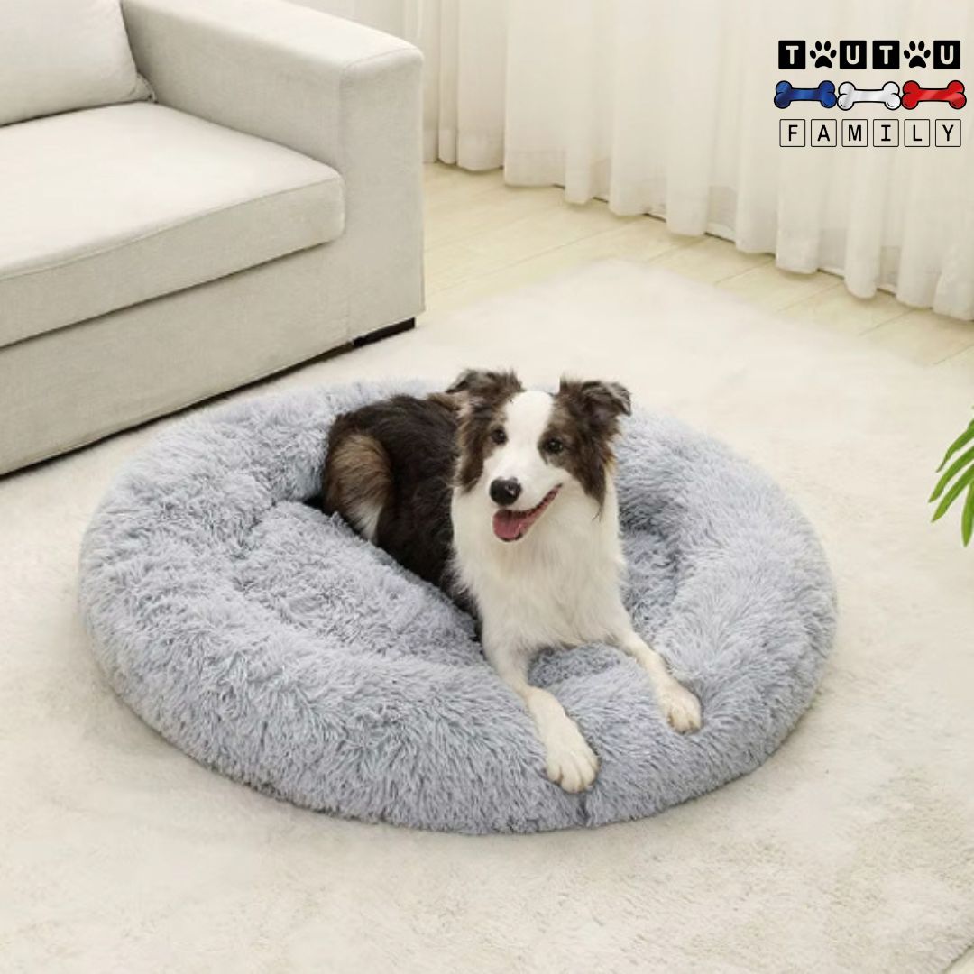 coussin-chien-xl-ultra-doux-grand-chien-couché-dans-un-panier-tout-doux-et-rembourré-dans-le-salon
