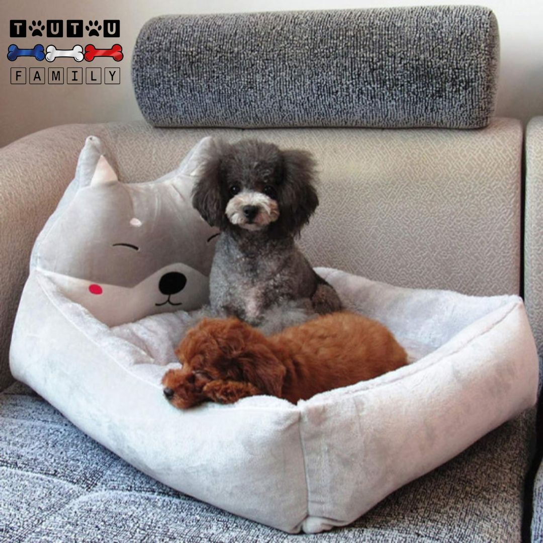 coussin-chien-pour-les-petits-chiens-panier-design-mignon-pour-les-petites-races-canines-ergonomique-doux-confortable-et-moelleux-avec-rebord-pour-plus-de-sérénité