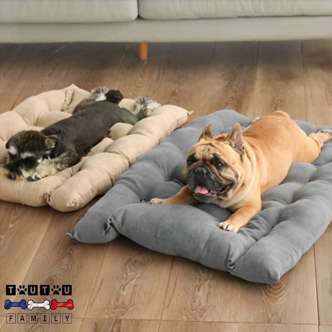 coussin-chien-3-en-1-confortable_un-bouledogue-marron-couché-sur-le-coussin-transformé-en-matelas