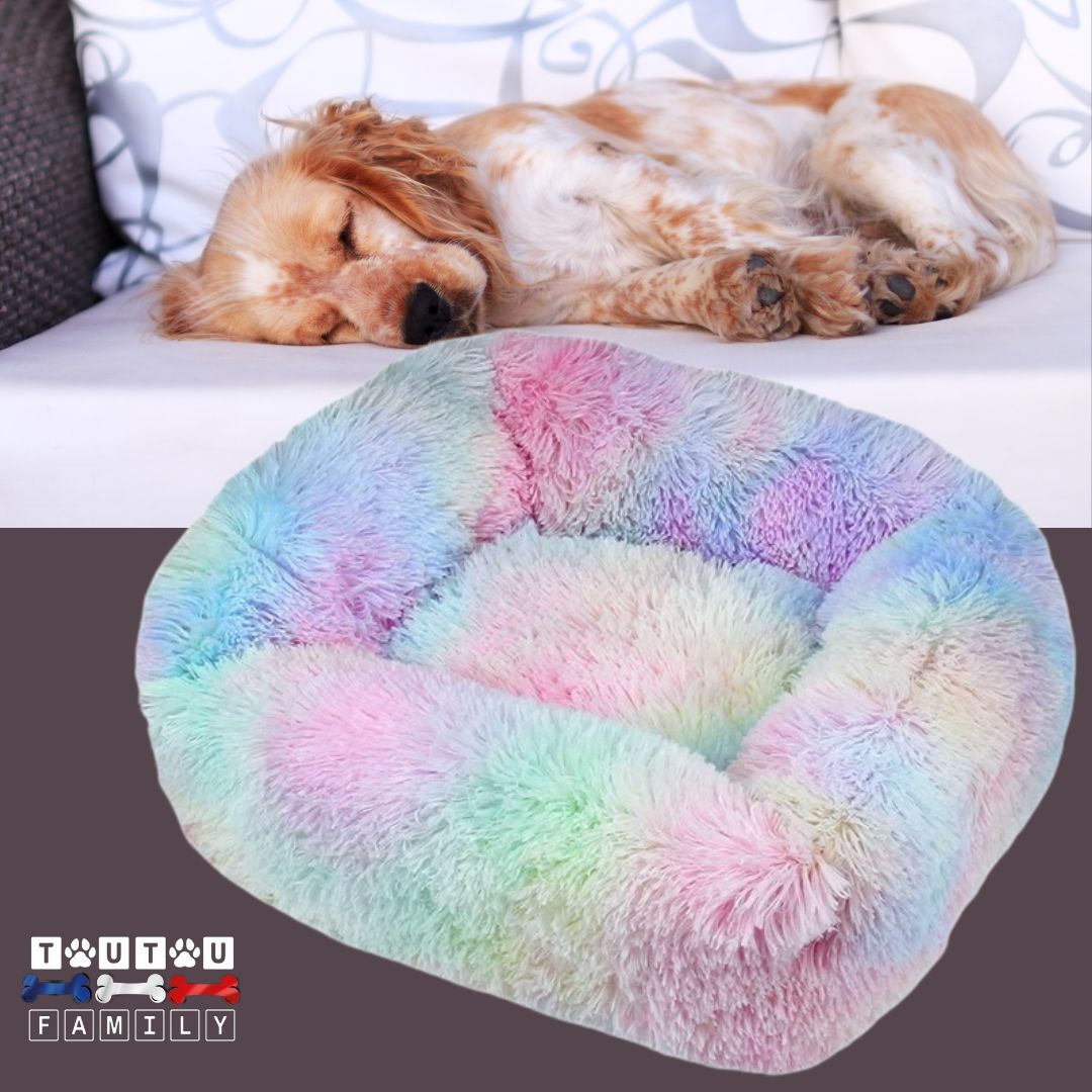 Coussin chien respirant - BlottiToutouâą