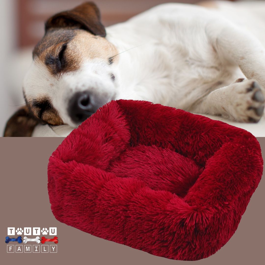 Coussin chien respirant - BlottiToutouâą