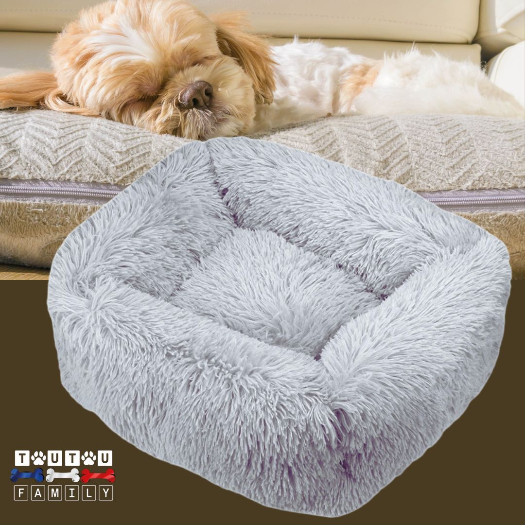Coussin chien respirant - BlottiToutouâą