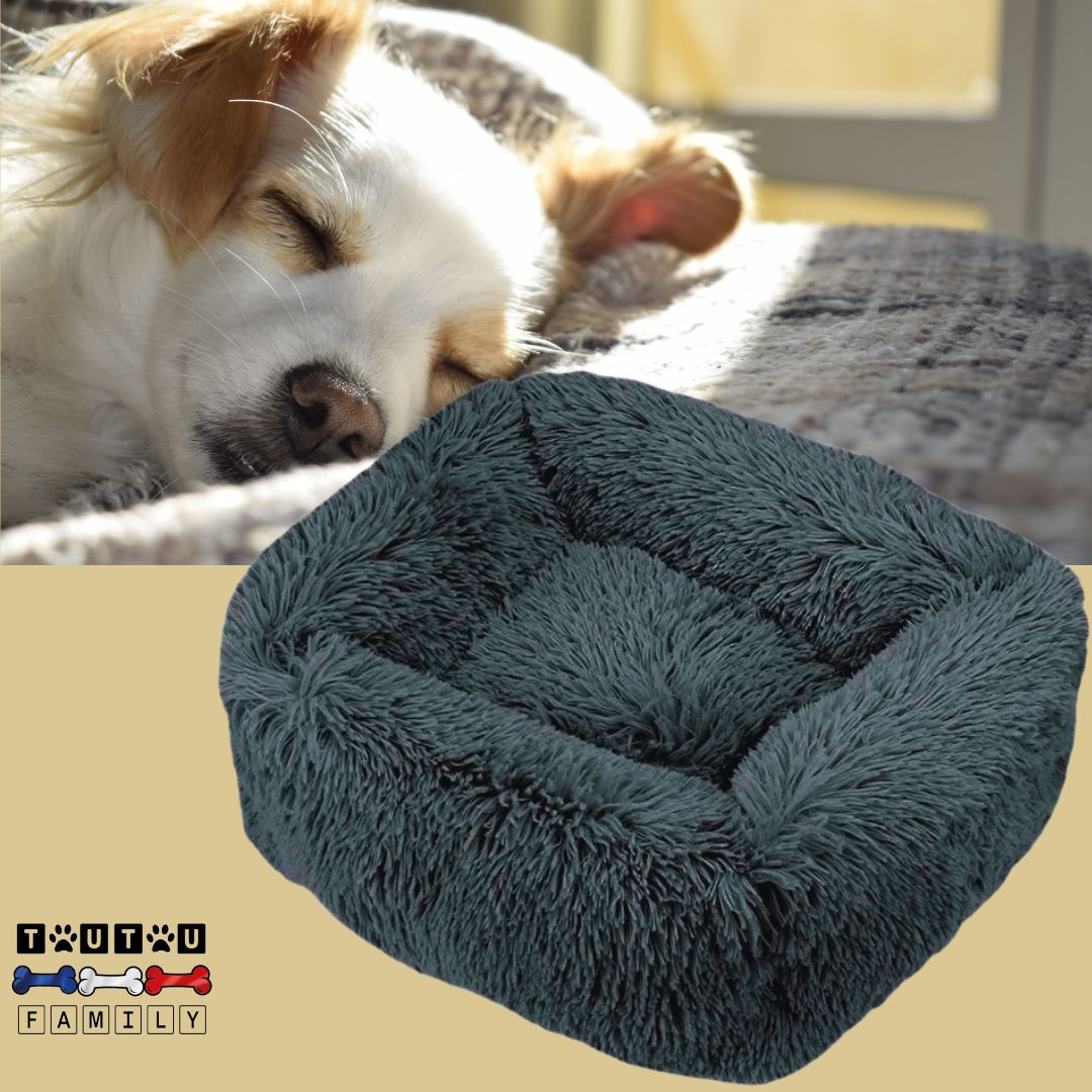 Coussin chien respirant - BlottiToutouâą