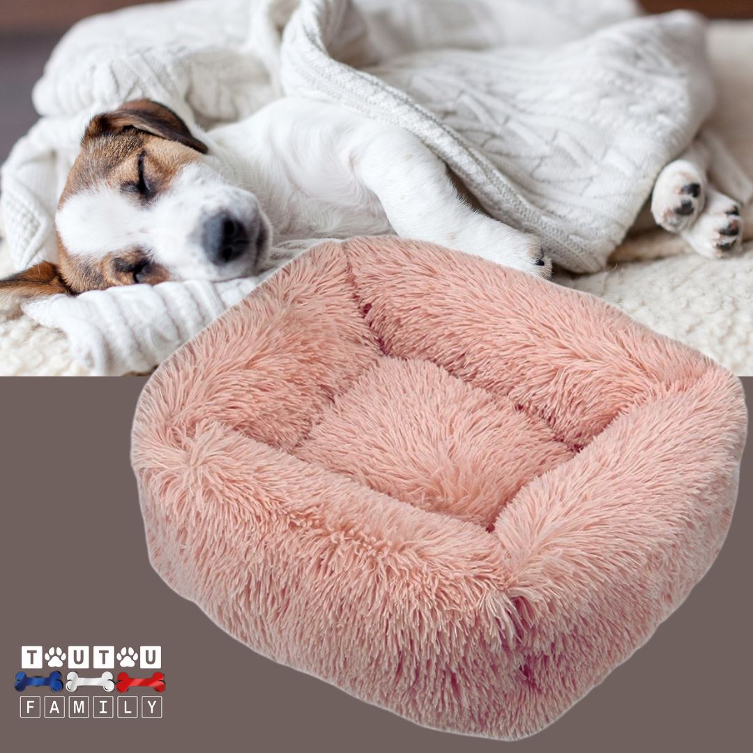 Coussin chien respirant - BlottiToutouâą