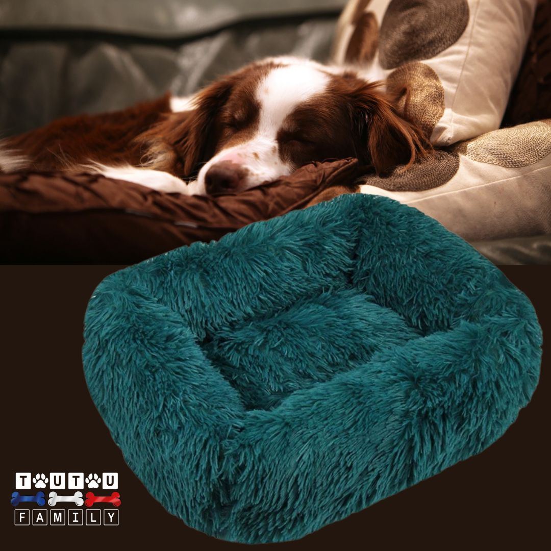 Coussin chien respirant - BlottiToutouâą