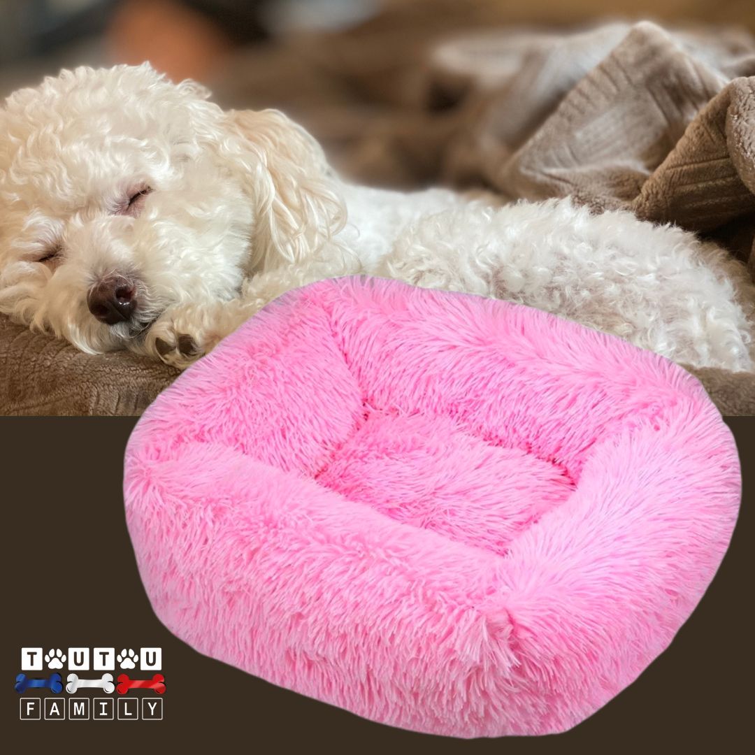 Coussin chien respirant - BlottiToutouâą