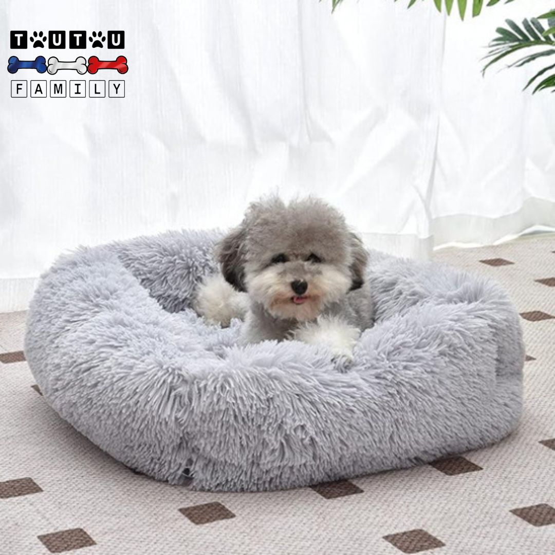 coussin-chien-respirant-pour-tous-les-chiens-un-caniche-dans-son-coussin-gris