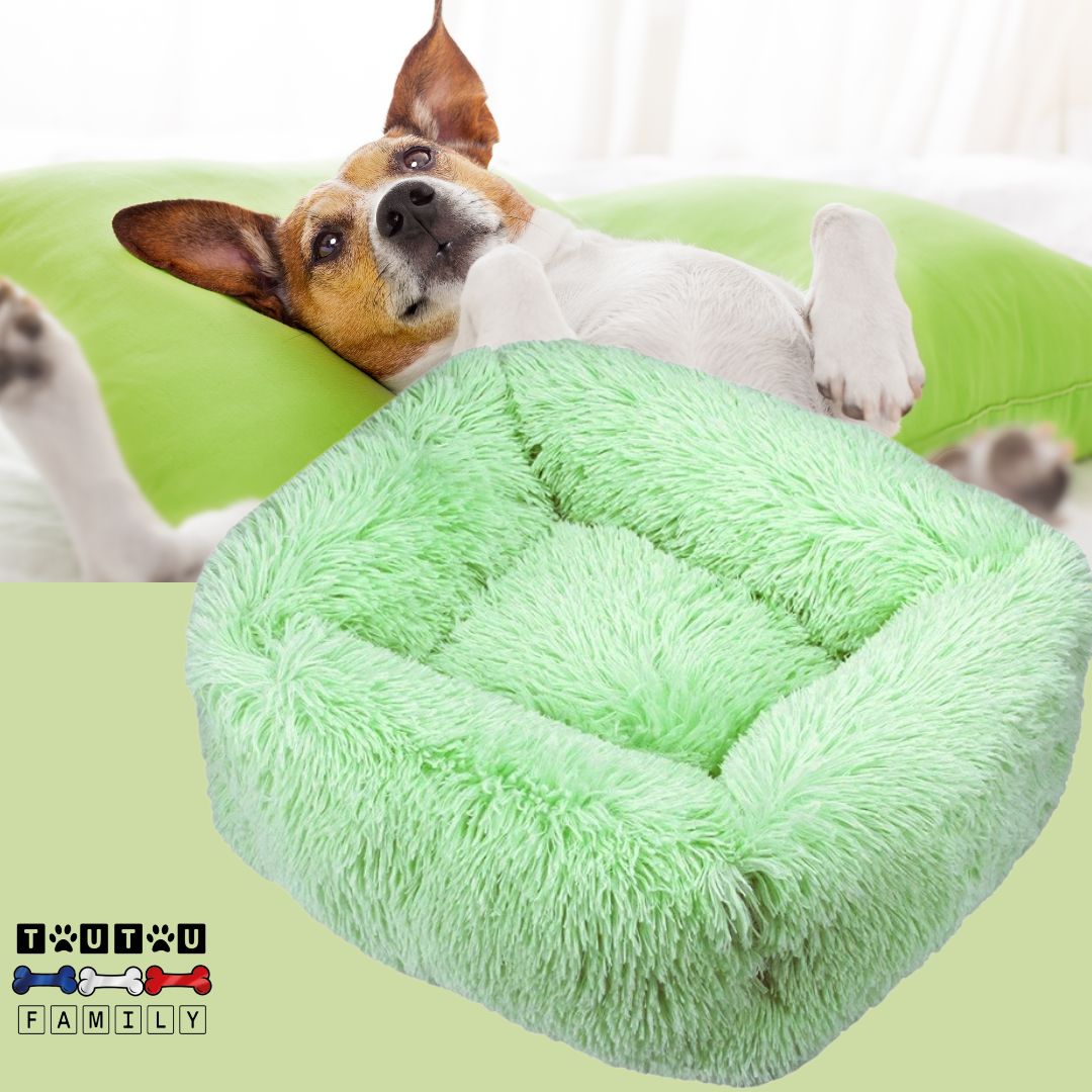 Coussin chien respirant - BlottiToutouâą