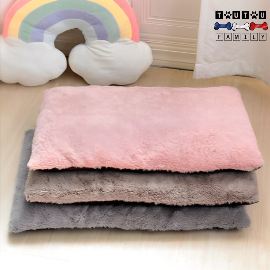 Coussin-dehoussable-chien-en-peluche-trois-coloris