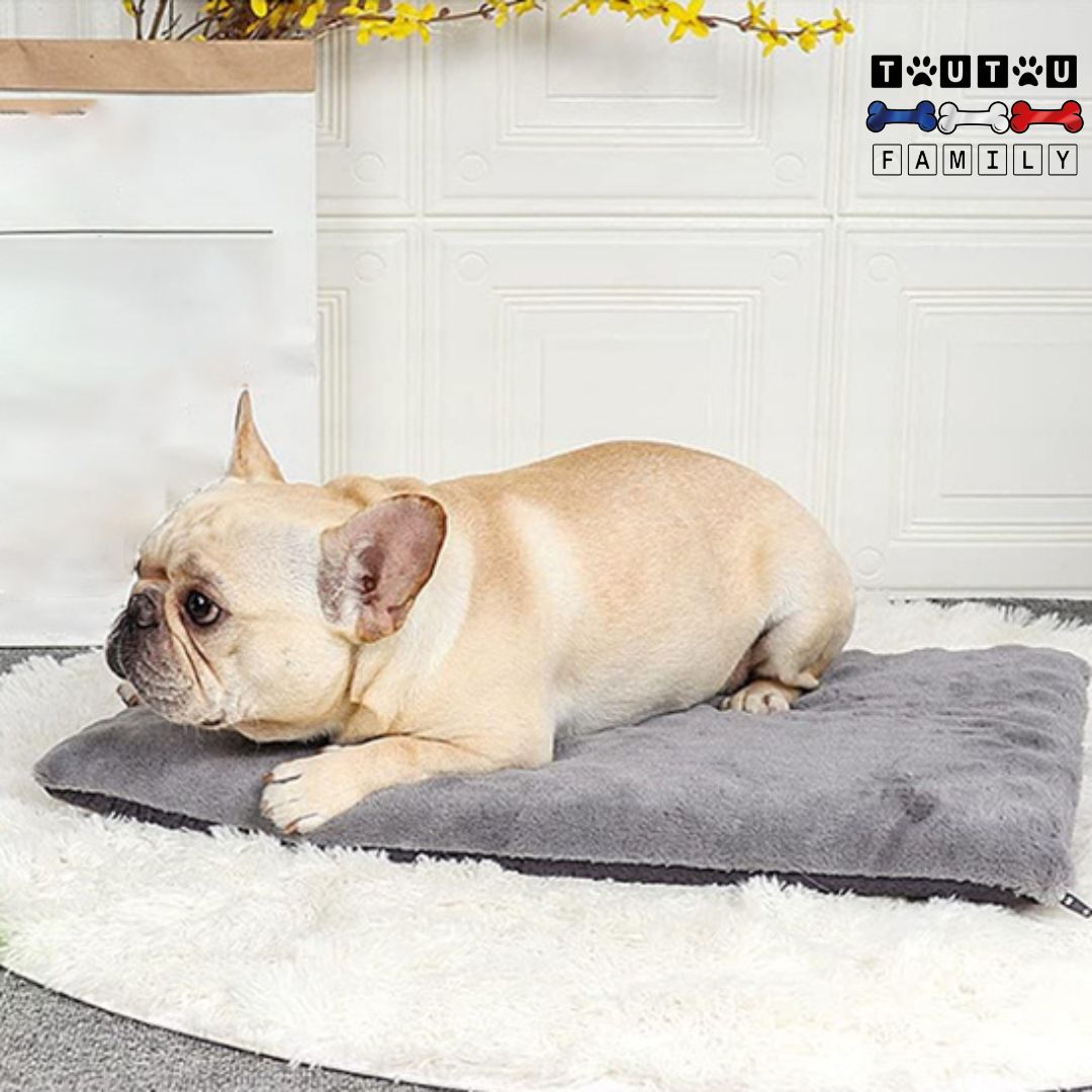 Coussin-dehoussable-chien-transportable