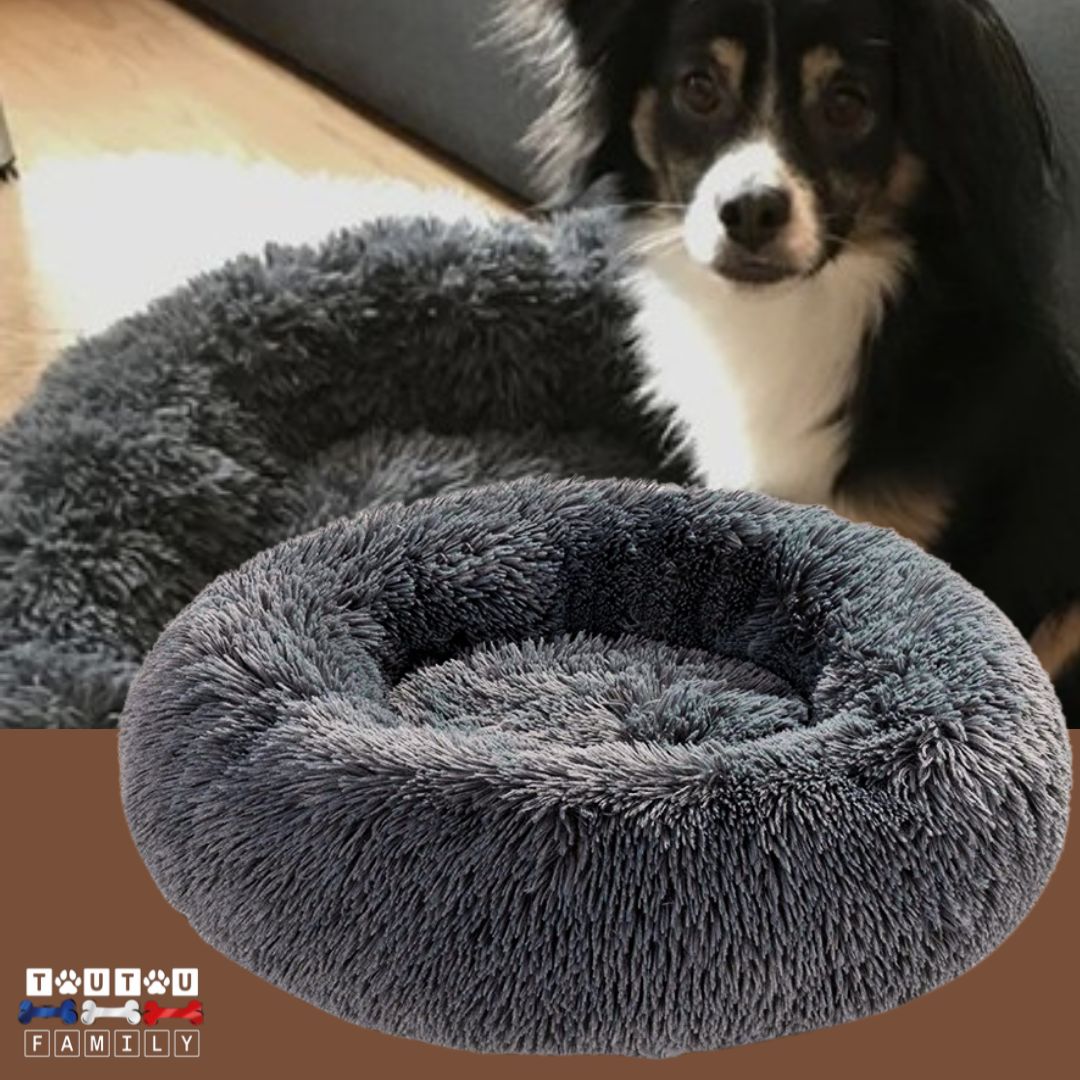 Coussin dehoussable - DodoToutou™
