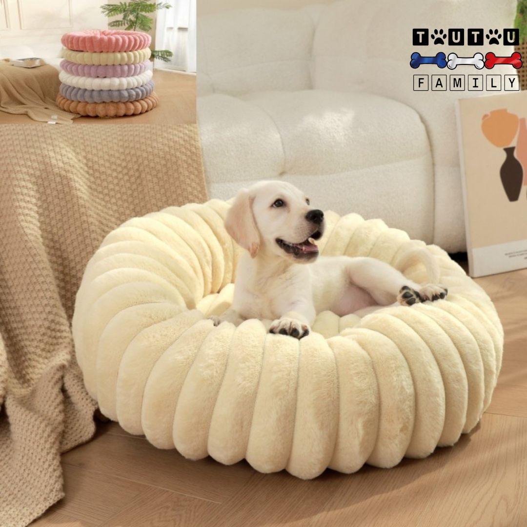 Coussin-déhoussable-pour-chien-chiot-rond-peluche-un-chiot-labrador-couché-dans-son-coussin-rond-et-haut-avec-rebord-coussin-anti-anxiété