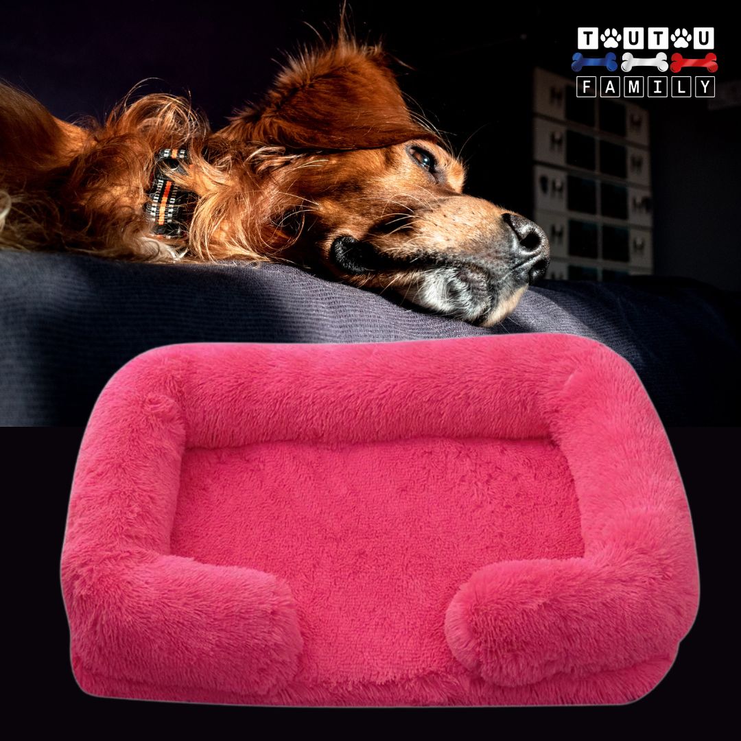 coussin-orthopedique-chien-rose-ergonomique