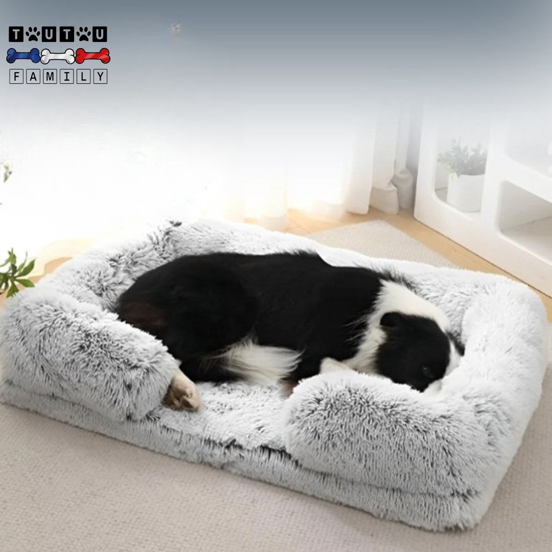 Coussin-orthopedique-chien-déhoussable-lavable-un-border-collie-niché-dans-le-coussin-qui-dort