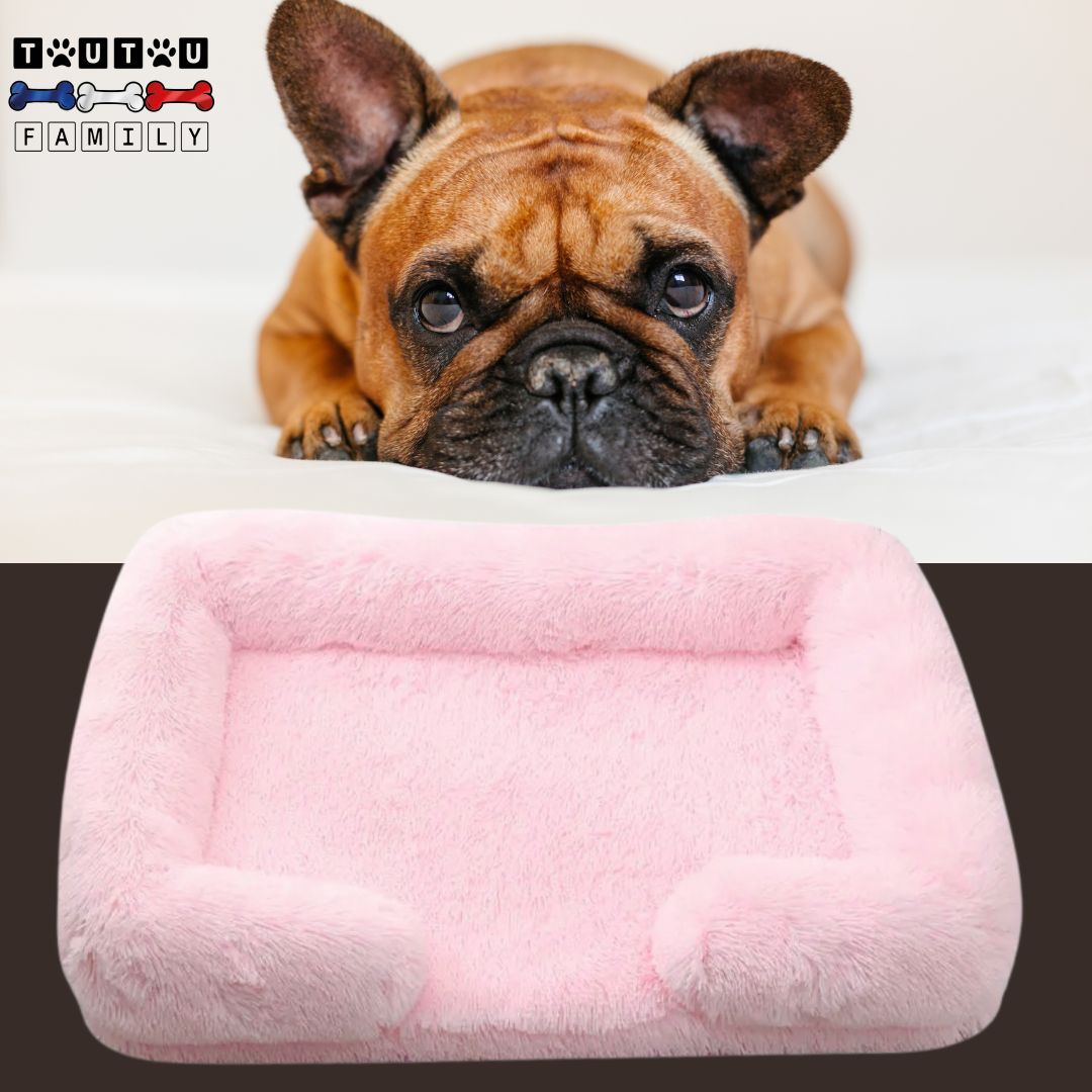 coussin-orthopedique-chien-rose-pale-un-chiot-bouledogue-francais-couché