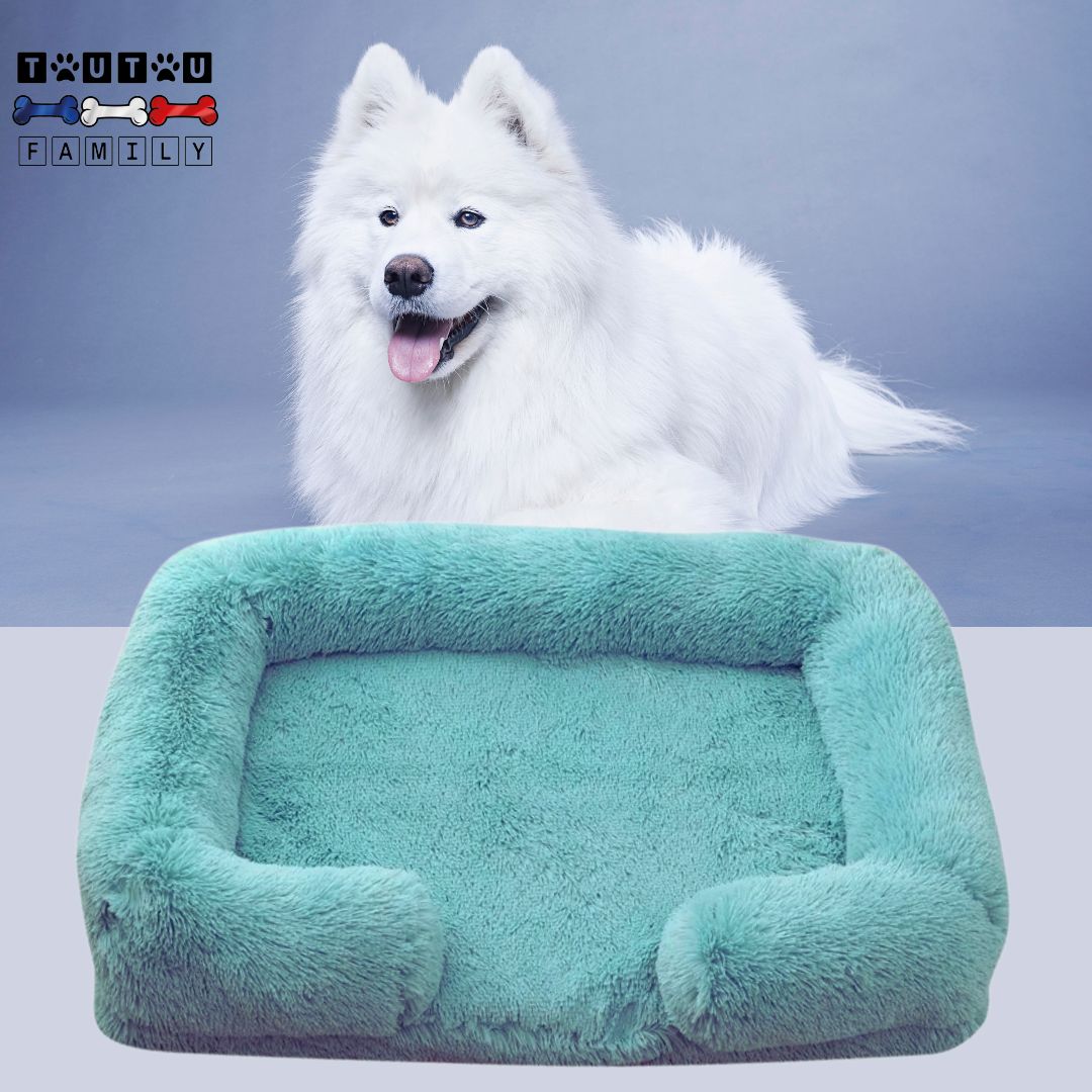 coussin-orthopedique-chien-bleu-dehoussable-un-chien-de-berger-blanc-derriere-le-coussin-bleu