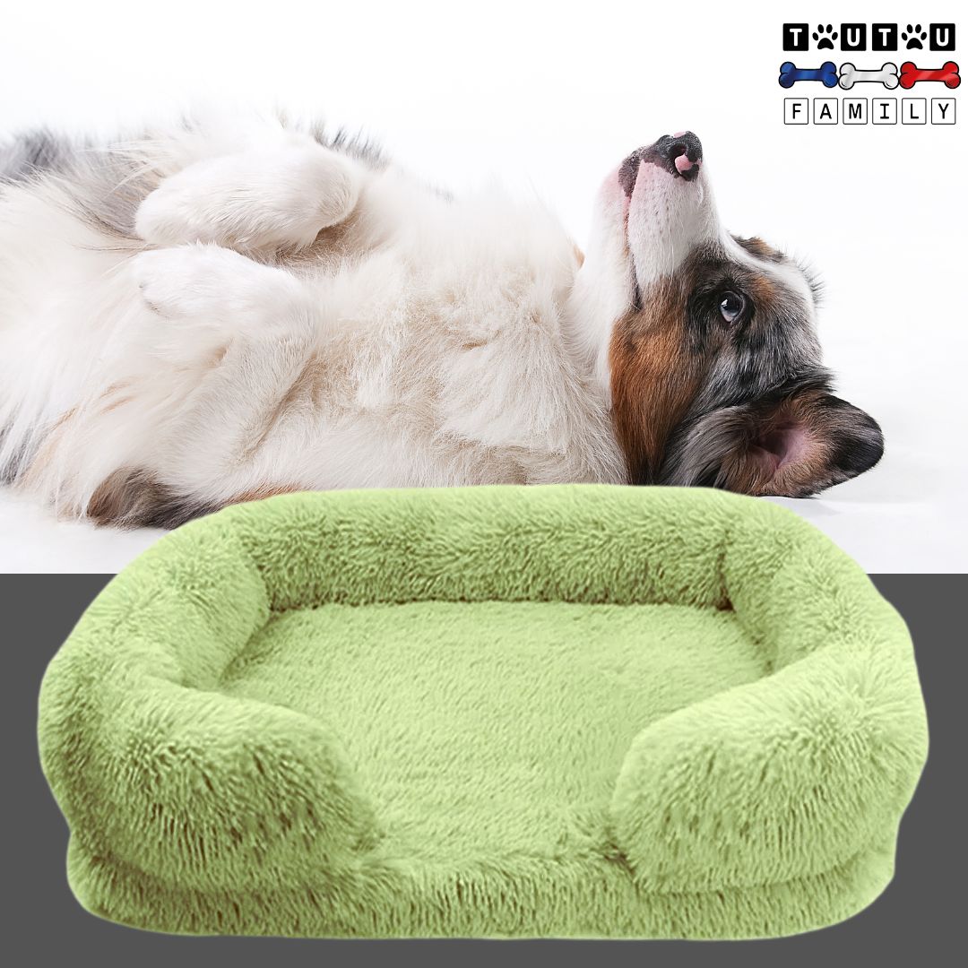 coussin-orthopedique-chien-vert-doux-et-moelleux-un-jack-russel-allongé-sur-le-dos