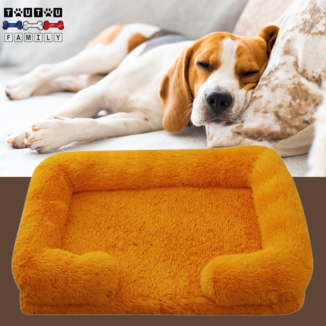 coussin-orthopedique-pour-chien-un-chien-qui-dort-paisiblement