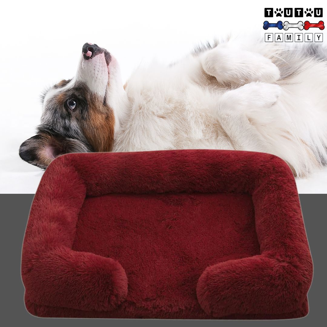 coussin-orthopedique-chien-bordeaux