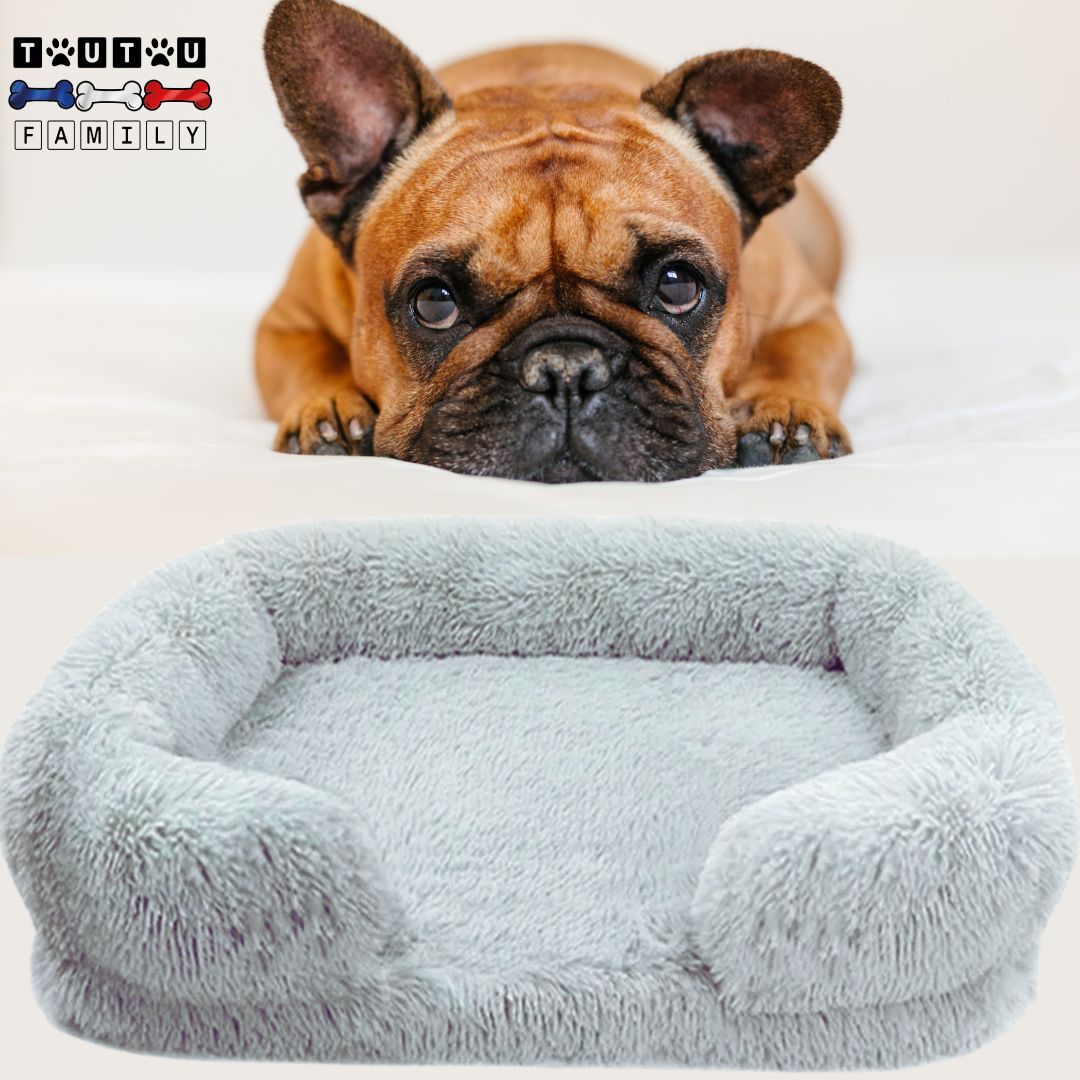 coussin-orthopedique-chien-gris