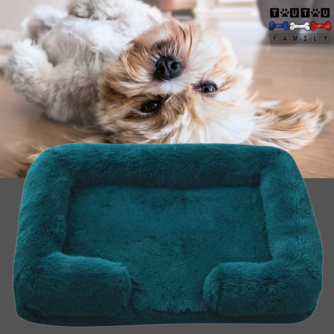 coussin-orthopedique-chien-bleu-matelas-à -mémoire-de-forme