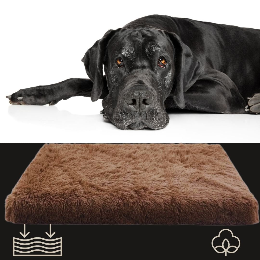 coussin-orthopedique-pour-chien-de-grande-taille