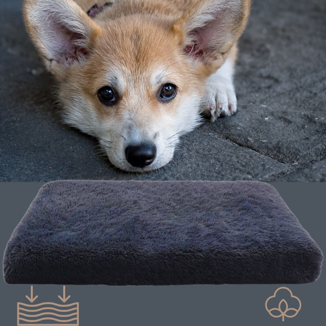 coussin-orthopedique-pour-chien-gris-pour-chien-de-taille-moyenne