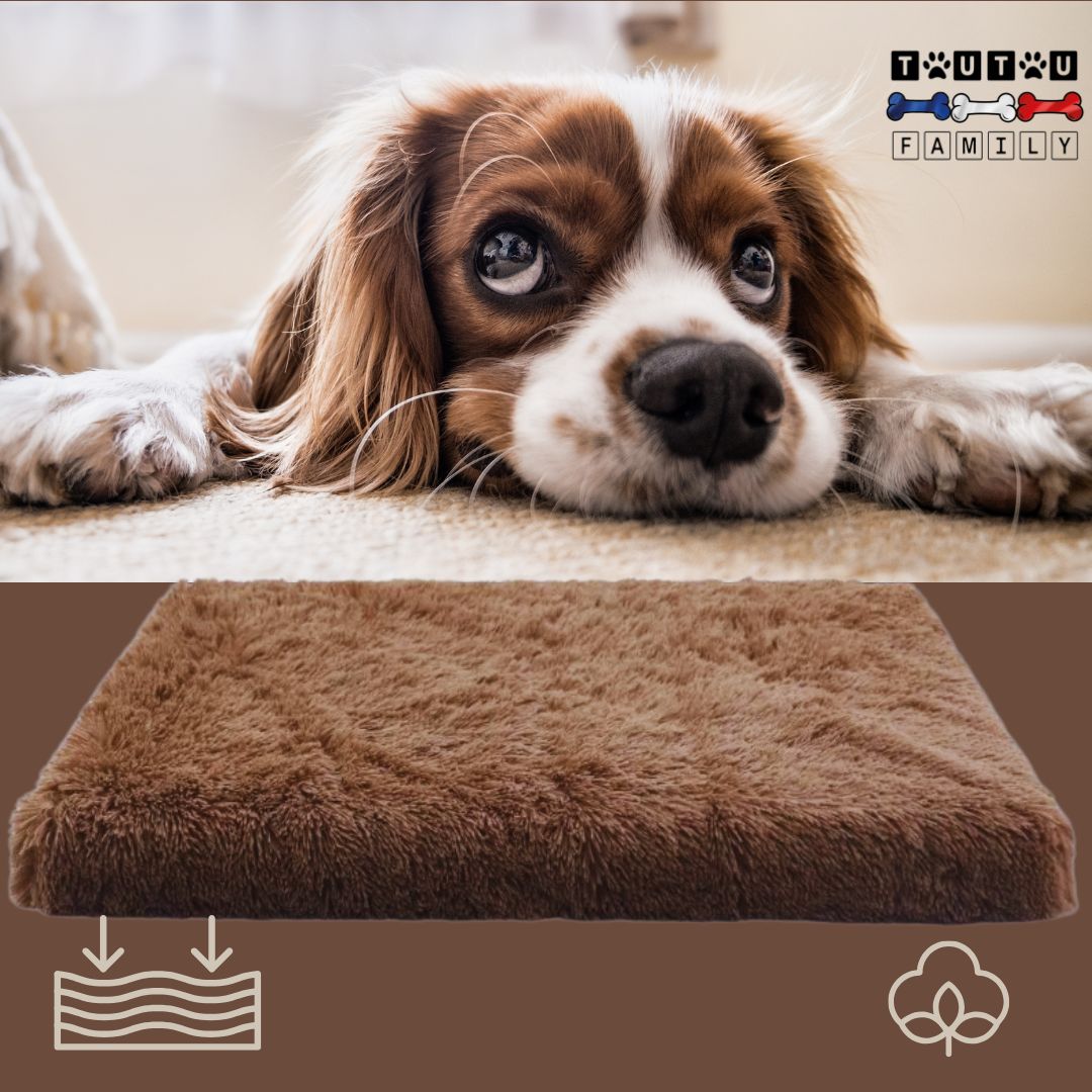 coussin-orthopedique-pour-chien-de-moyenne-taille