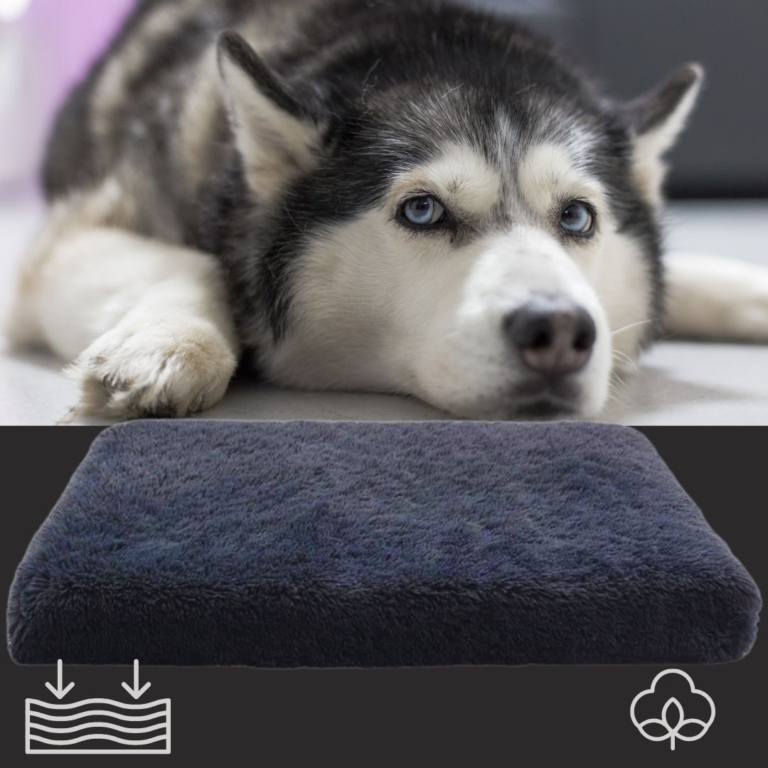 coussin-orthopedique-pour-chien-gris-pour-grand-chien