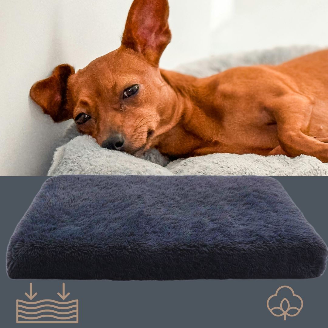 coussin-orthopedique-pour-chien-gris-pour-chien-de-petite-taille