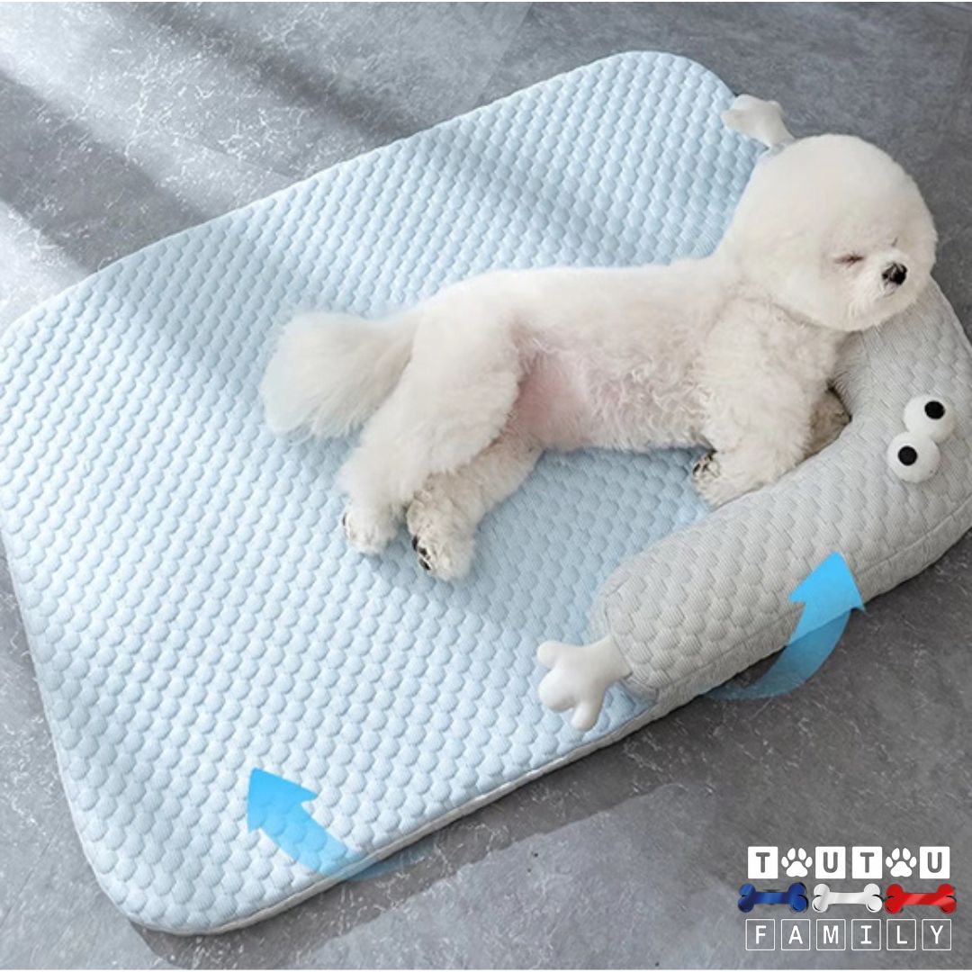 coussin-rafraichissant-pour-chien-memoire-de-forme-un-bichon-couché-confortablement-sur-le-coussin-bleu-avec-sa-tete-qui-repose-sur-le-traversin-intégré