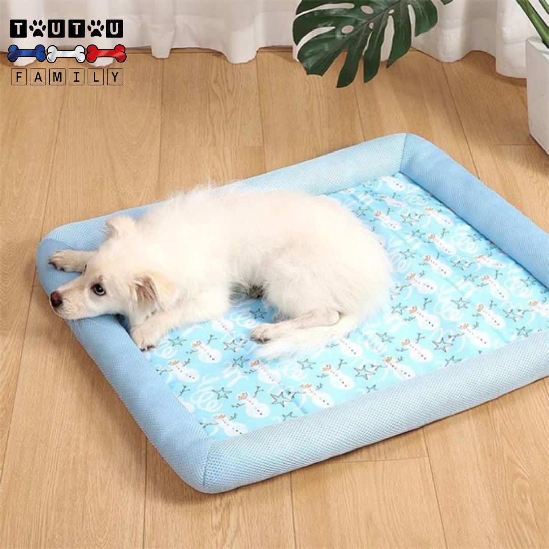 Coussin-rafraichissant-pour-chien-écoresponsable-un-chien-de-taille-moyenne-allongé-confortablement-sans-souffrir-de-la-chaleur-sur-son-tapis-rafraichissant-pendant-es-grande-chaleur-dans-le-salon