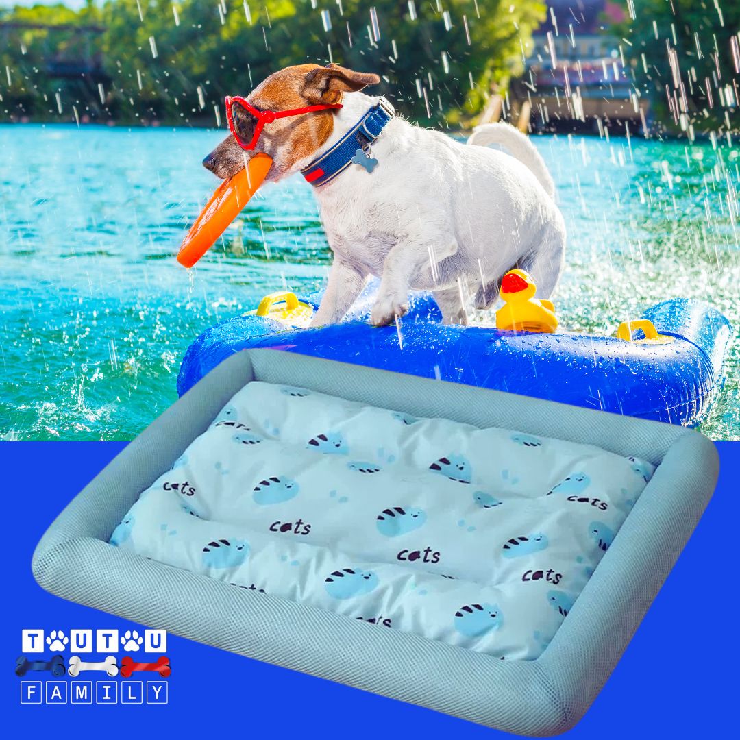 Coussin-rafraichissant-pour-chien-avec-rebord-bleu-clair-tapis-rafraichissant-chien-chiot-de-petite-à-moyenne-taille-jusqu'à-20kg-lavable-en-machine