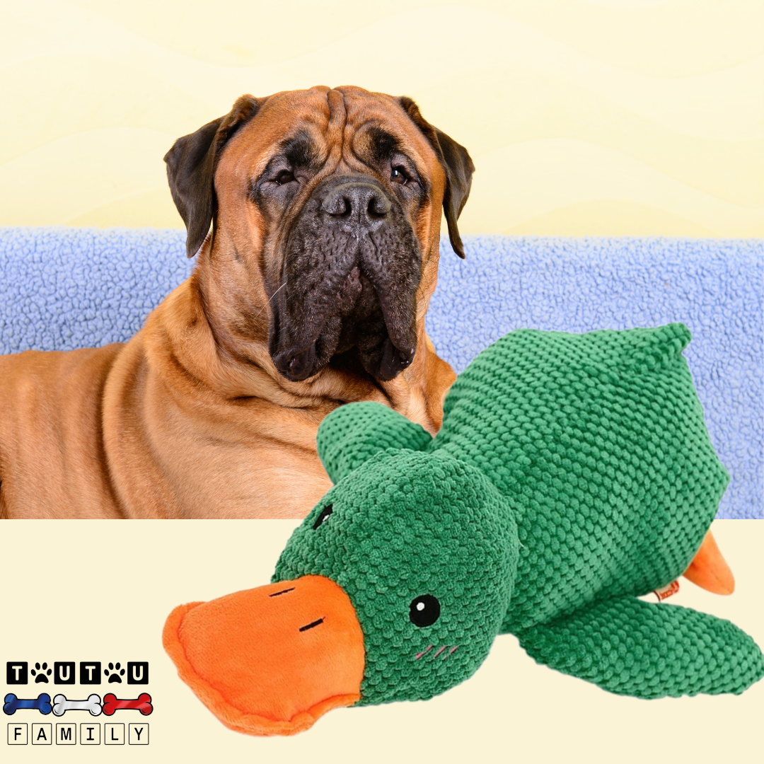 Doudou pour chien - CanardToutouâą