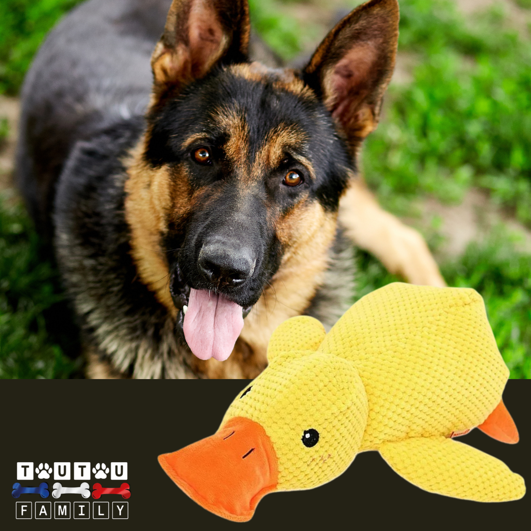 Doudou pour chien - CanardToutouâą