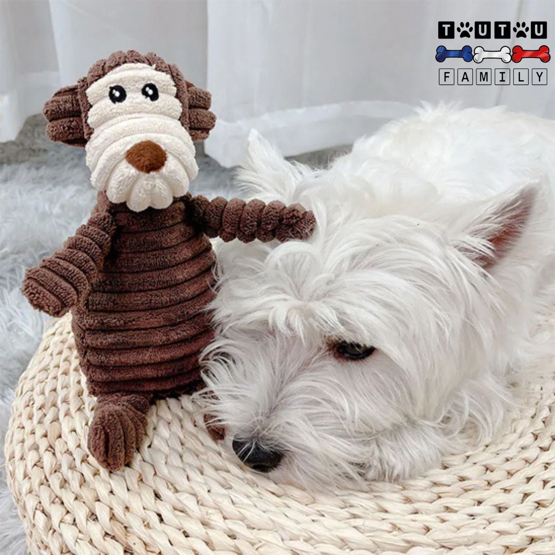 doudou-pour-chien-lavable un chien qui se repose avec son doudou solide et lavable en velours et coton- jouet-interactif qui couine et d'occupation anti-stress