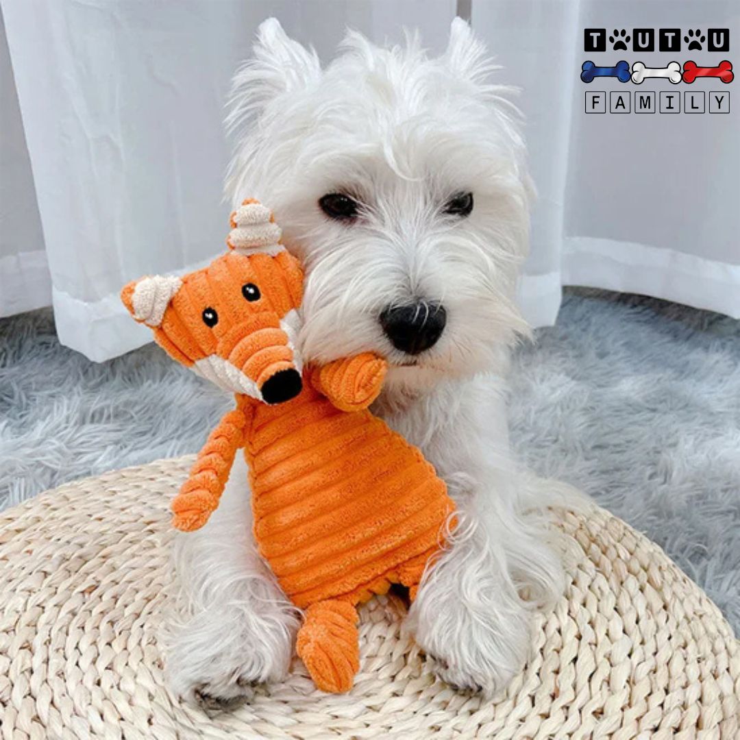 doudou-pour-chien-velours et rembourrage 100% coton pour apaiser nettoyer ses dents et jouer avec son couineur intégrées coutures solides et renforcées-jouet-anti-anxiété un chien qui tient sa peluche renard entre ses pattes sans éléments dangereux lavable en machine à laver