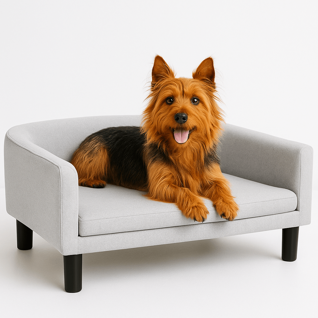 fauteuil-pour-chien-un terrier australien confortablement installé sur sur son canapé design gris avec coussin épais en mousse haute densité ergonomique lavable et ses pieds et structure en bois massif solide avec haut dossier et accoudoir pour un effet sécurisant et anti-stress anti-anxiété