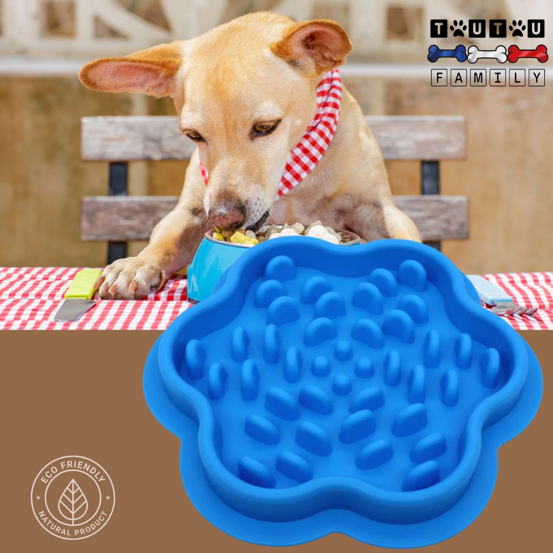 gamelle-anti-glouton-chien-de-lechage-bleu