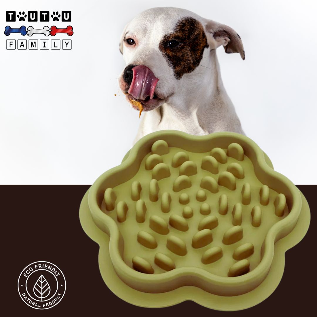 gamelle-anti-glouton-chien-de-léchage-vert