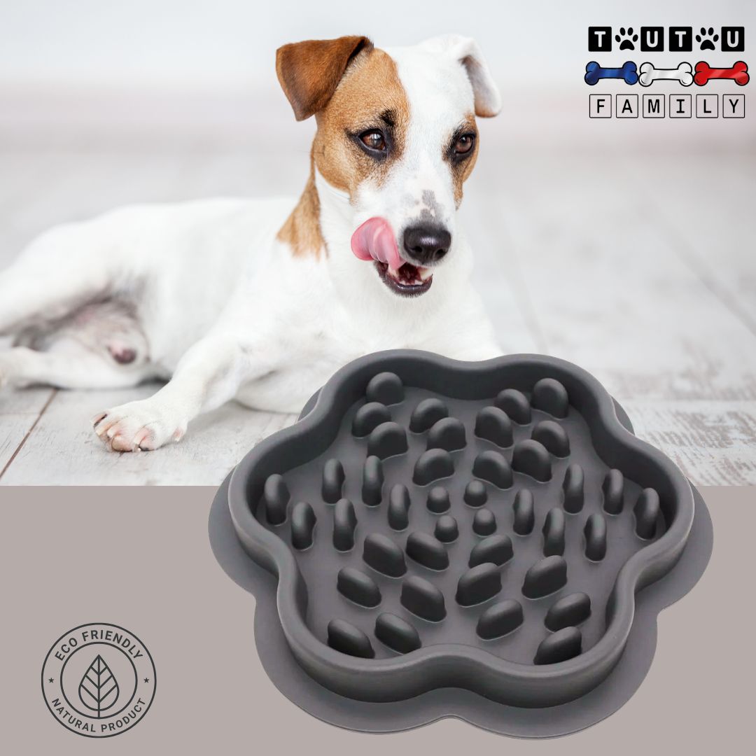 gamelle-anti-glouton-chien-de-léchage-grise