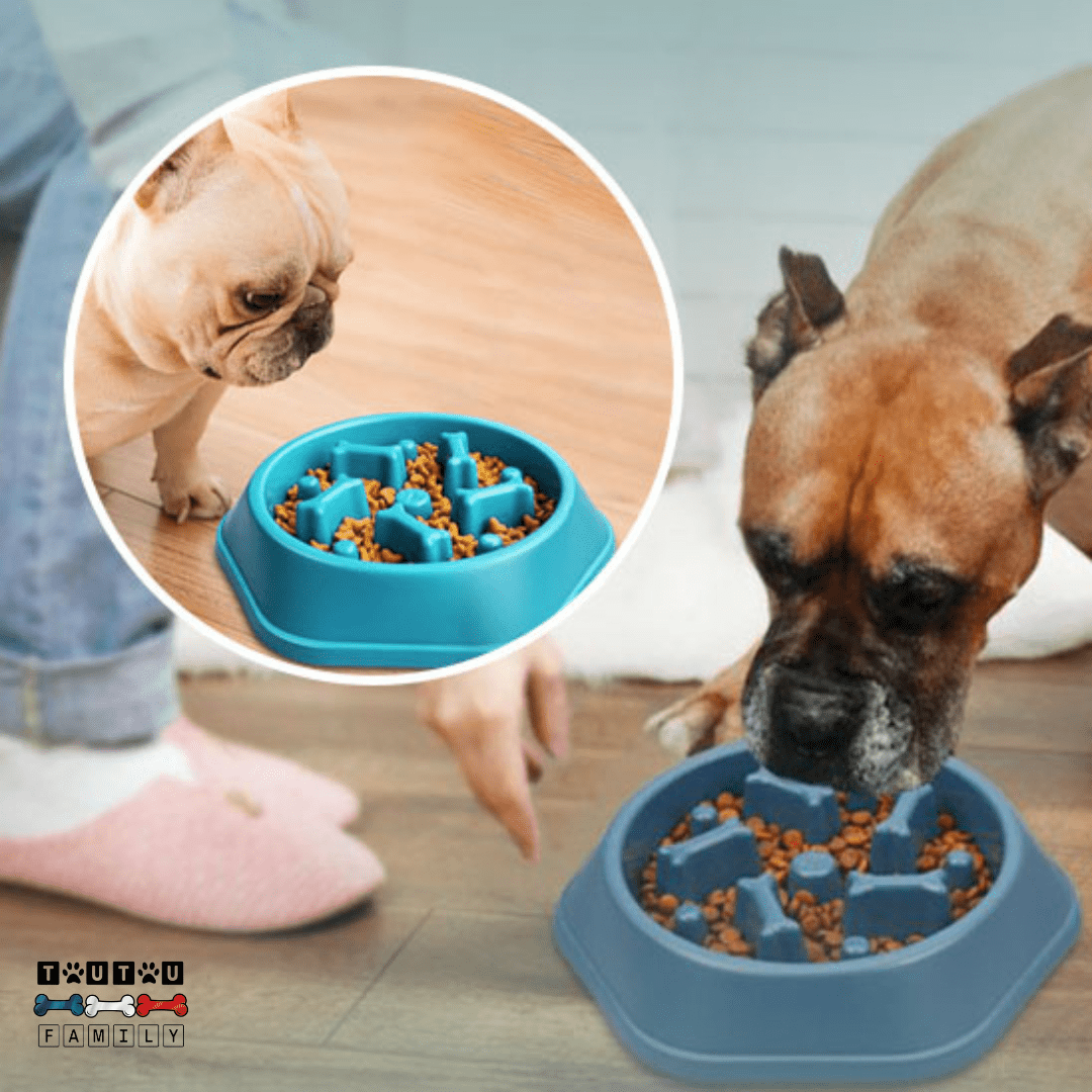 Gamelle anti glouton chien - FreineToutou™