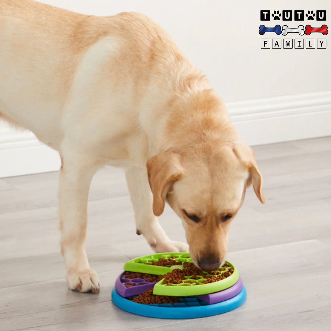 Gamelle-anti-glouton-chien-3-plateaux-ralenti-l-ingestion-des-aliments-3-plateau-avec-un-labyrinthe-différents-sur-chaque-étage-pour-nourriture-solide-ou-liquide