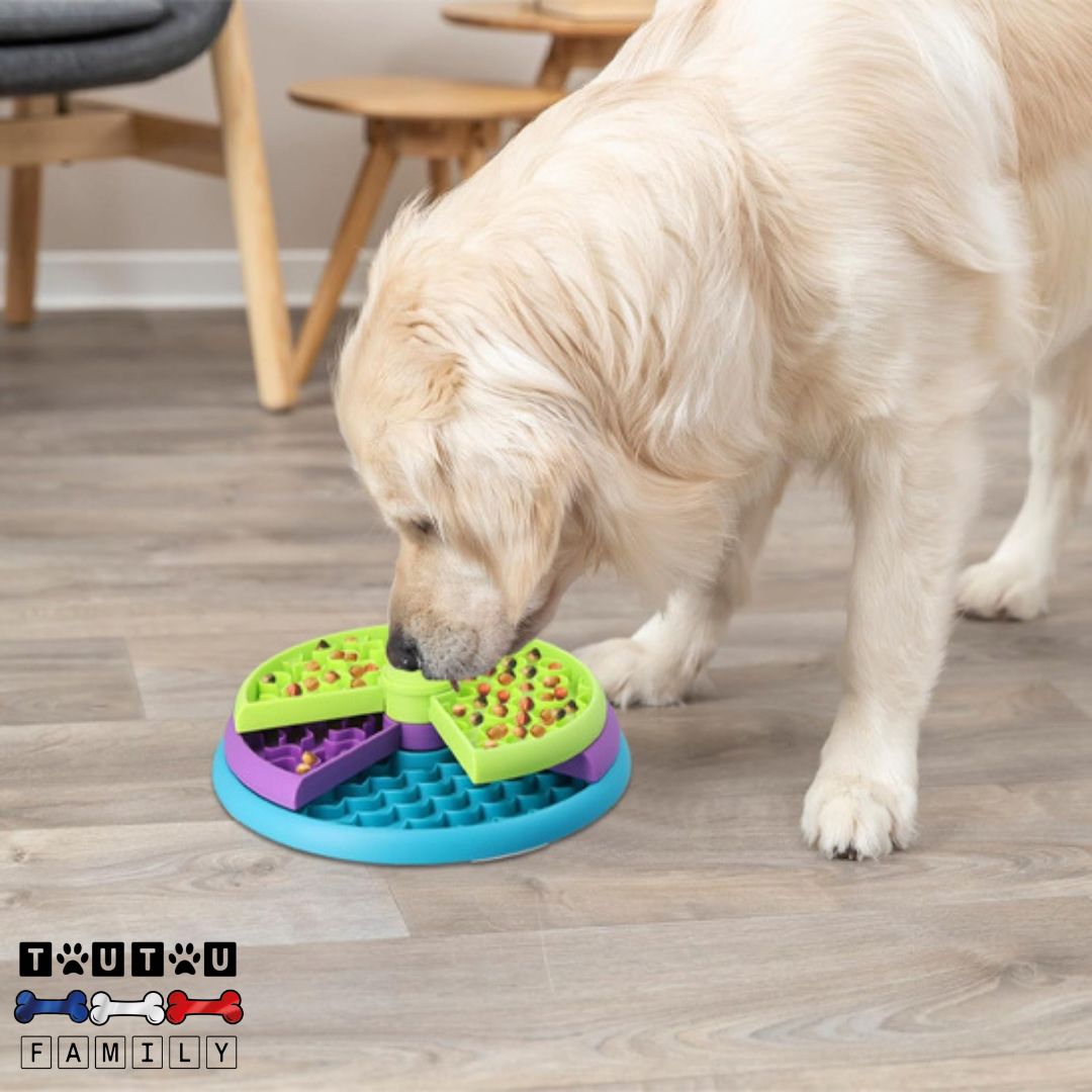 Gamelle-anti-glouton-chien-pour-nourriture-seches-et-fraiche-un-golden-qui-sent-et-mange-doucement-son-repas-dans-la-gamelle-anti-glouton-puzzle-alimentaire