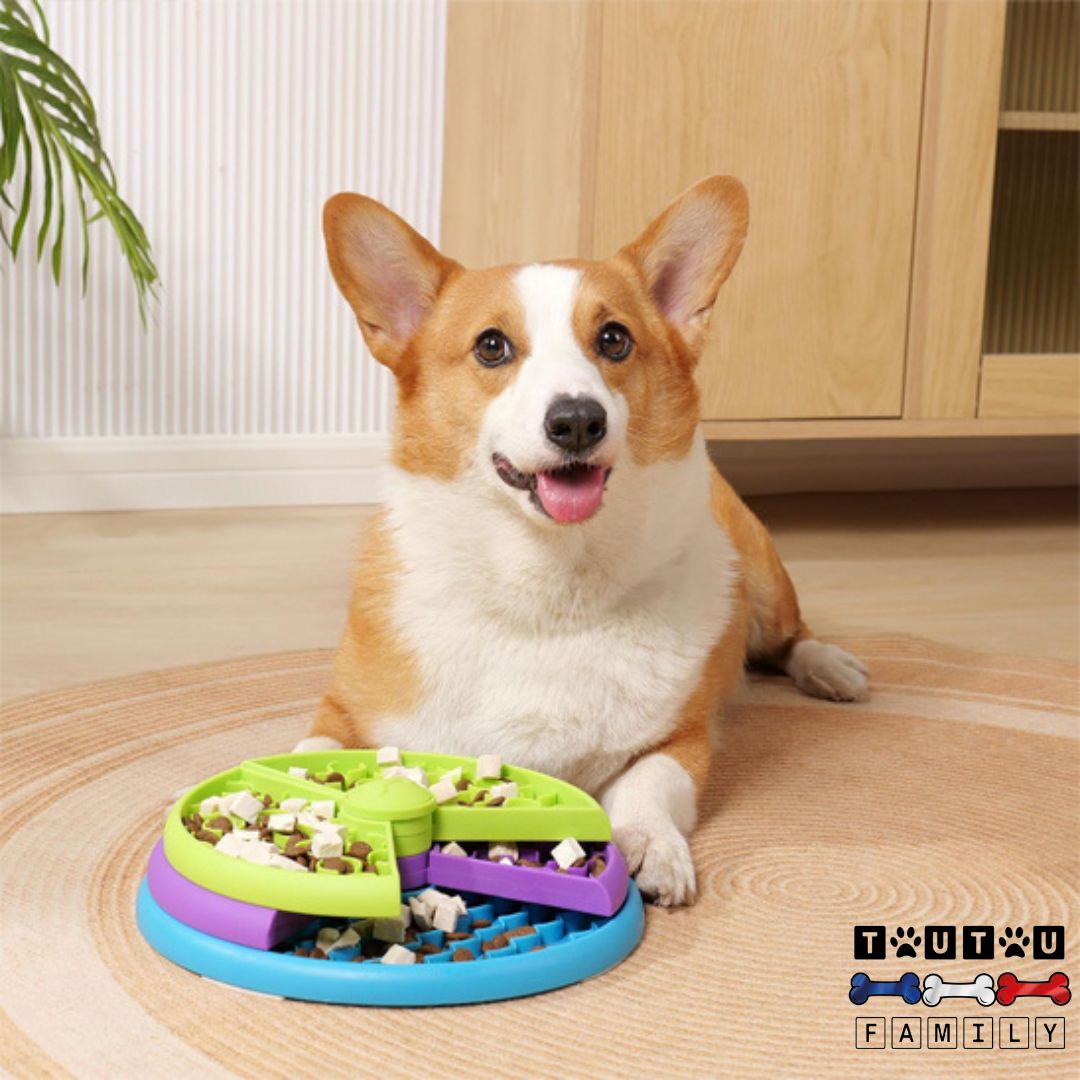 Gamelle-anti-glouton-chien-3-niveaux-distributeur-de-croquettes-intelligent-un-corgi-welsh-qui-mange-doucement-dans-sa-gamelle-anti-glouton-ntelligente