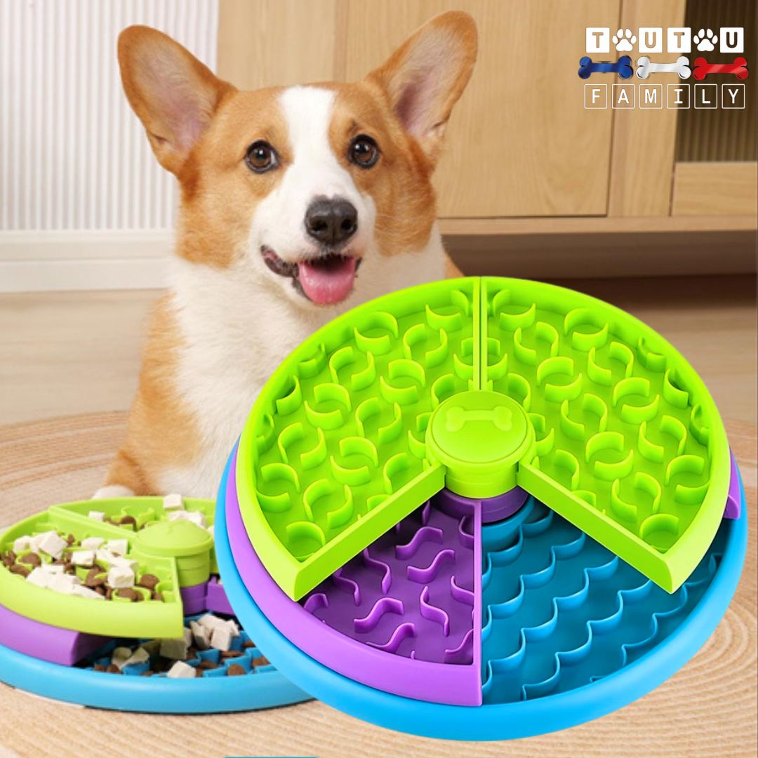 Gamelle-anti-glouton-chien-puzzle-alimentaire-sur-3-niveaux-avec-plateaux-modulable-gamelle-intelligente-pour-chien