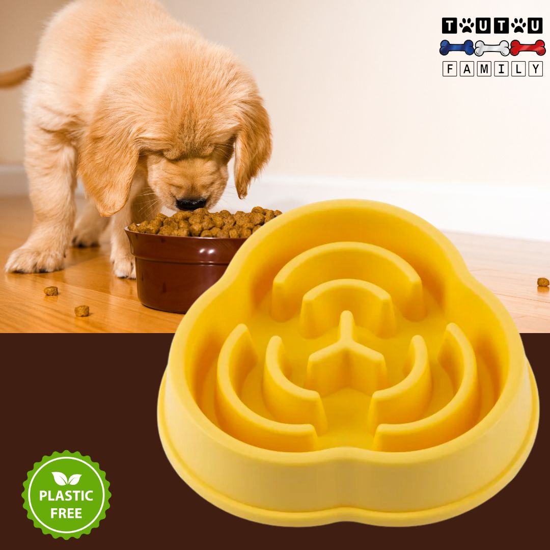 gamelle-anti-glouton-Ă -labyrinthe-jaune-un-chiot-qui-mange-avec-la-gamelle-anti-glouton