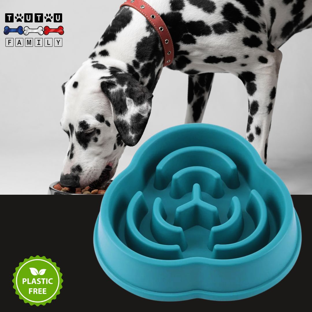gamelle-anti-glouton-chien-a-spirale-verte-un-dalmatien-avec-sa-gamelle-anti-glouton