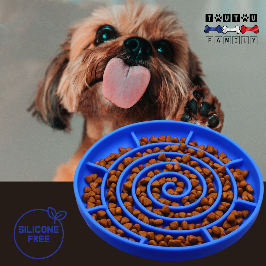 Gamelle-chien-anti-glouton-spirale-bleu-un-chiot-york-qui-lĂšche-avec-sa-gamelle-anti-glouton-en-silicone-avec-ventouse-pour-aliment-sec-et-humide