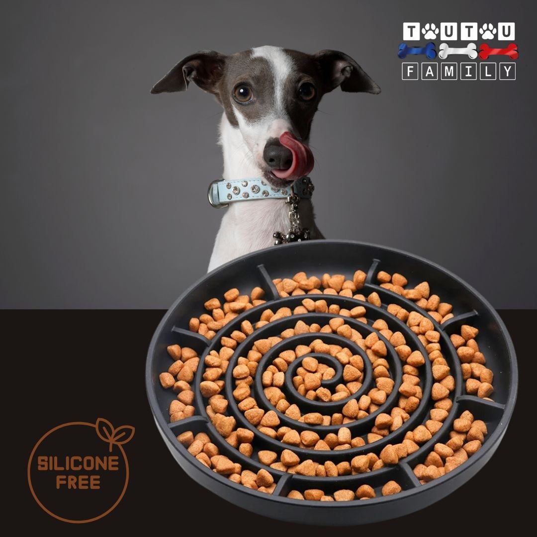 Gamelle-chien-anti-glouton-spirale-gris-un-chiot-lévrier-qi-se-lÚche-les-babines-devant-sa-gamelle-en-silicone-sans-produits-toxiques-avec-ventouse-pour-alimentation-lente-fraßche-ou-sÚche